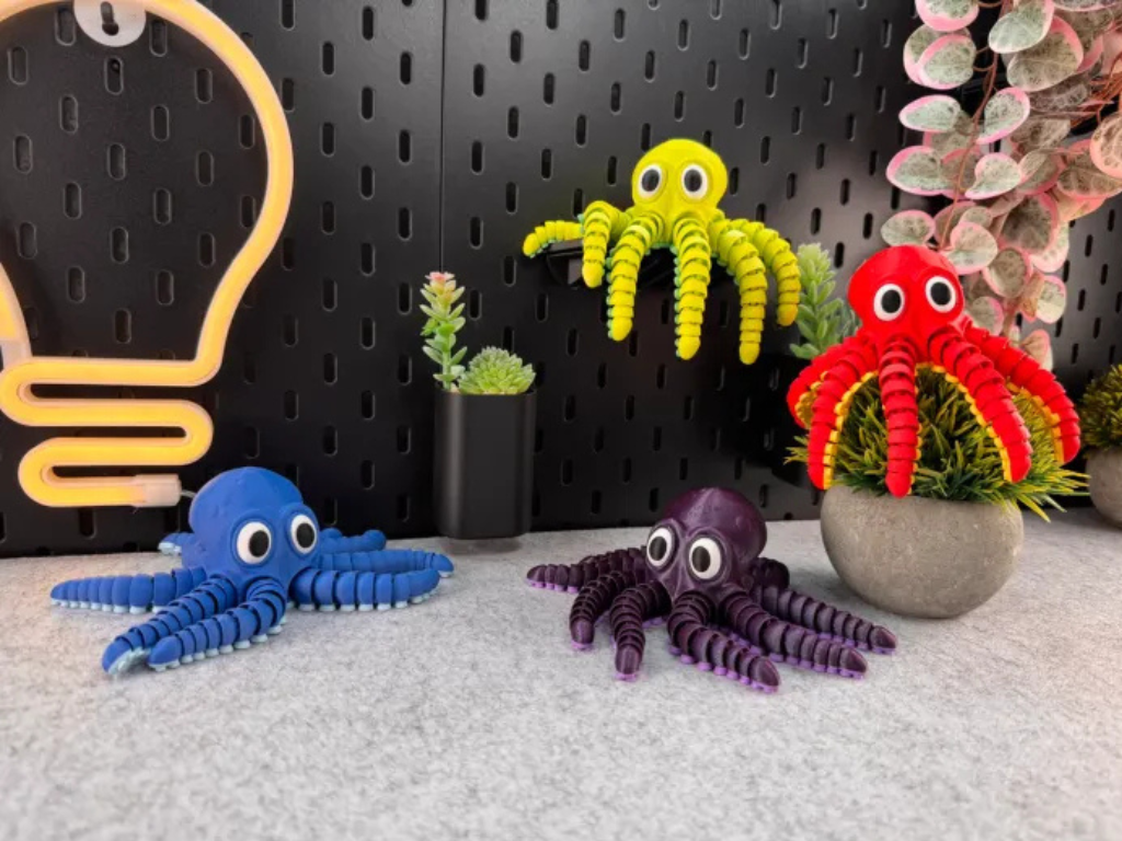 Customer print photo — organized folders