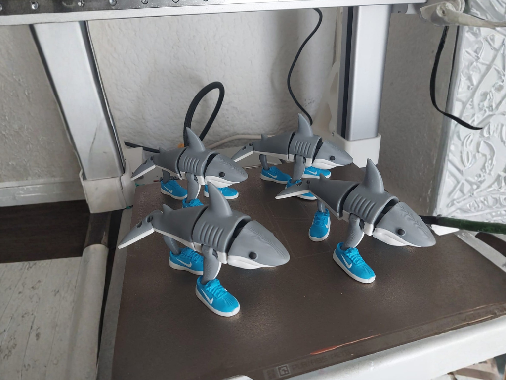 Customer print photo — prop print